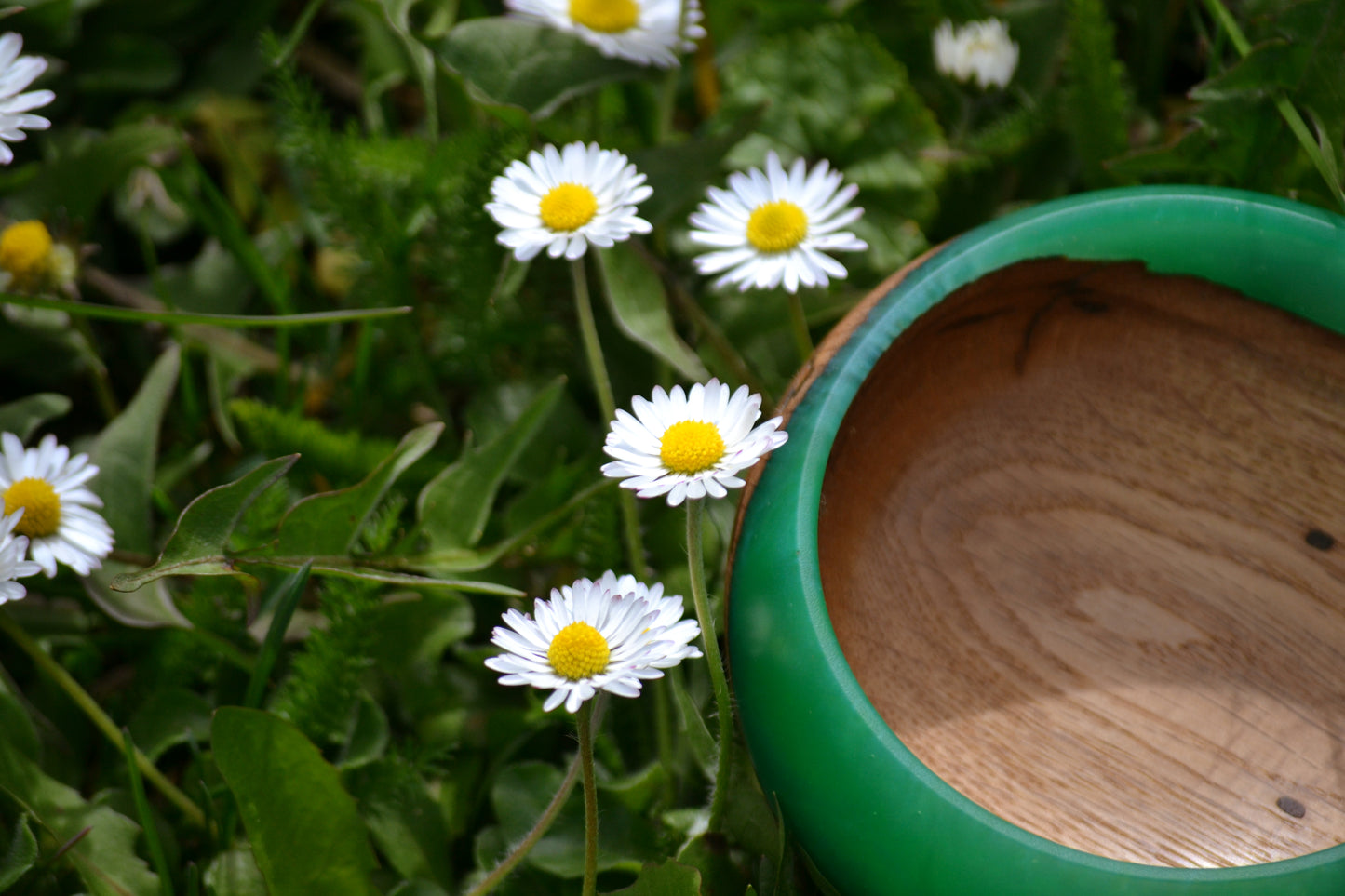 Handmade Oak Epoxy Bowl - Green Design by Timberflow